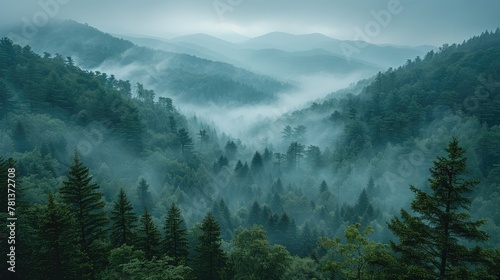 A gentle breeze stirred the treetops, whispering secrets to the silent mountains that stood sentinel over the land.