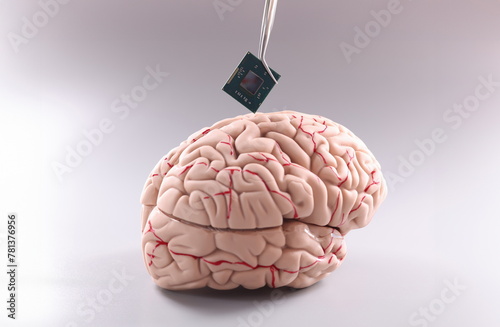 Anatomy of human brain with computer chip. Artificial intelligence chips concept photo