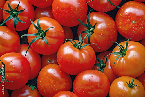 Vibrant organic red tomatoes texture background. A lot of red ripe tomatoes on the market on sunny day close © polack