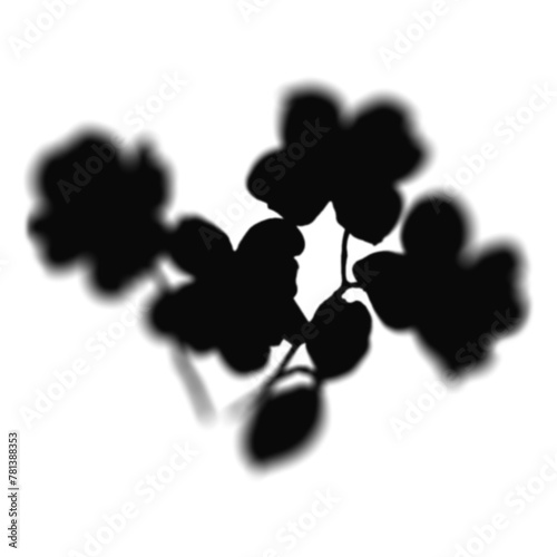 Floral Shadow Shape, overlay shadow effect isolated on transparent background (ID: 781388353)