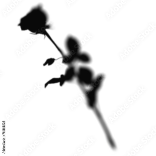 Floral Shadow Shape, overlay shadow effect isolated on transparent background (ID: 781388505)