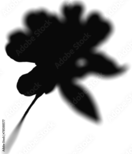 Floral Shadow Shape, overlay shadow effect isolated on transparent background (ID: 781388577)