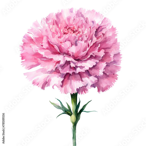 pink carnations. a bouquet of beautiful flowers. drawing. illustration. artificial intelligence generator, AI, neural network image. background for the design.