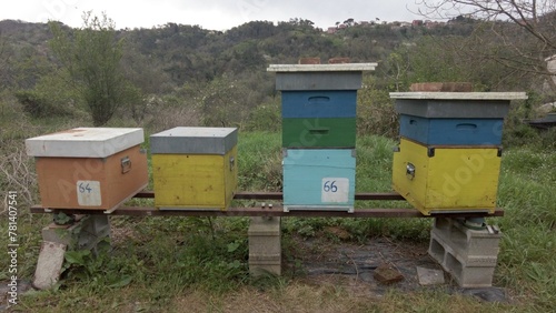 Obraz na płótnie Beekeeper raises bees in the countryside for the production of honey - hives and beehives in nature ,importance of bees for the well-being of the ecosystem - climate change and global warming concept w salonie