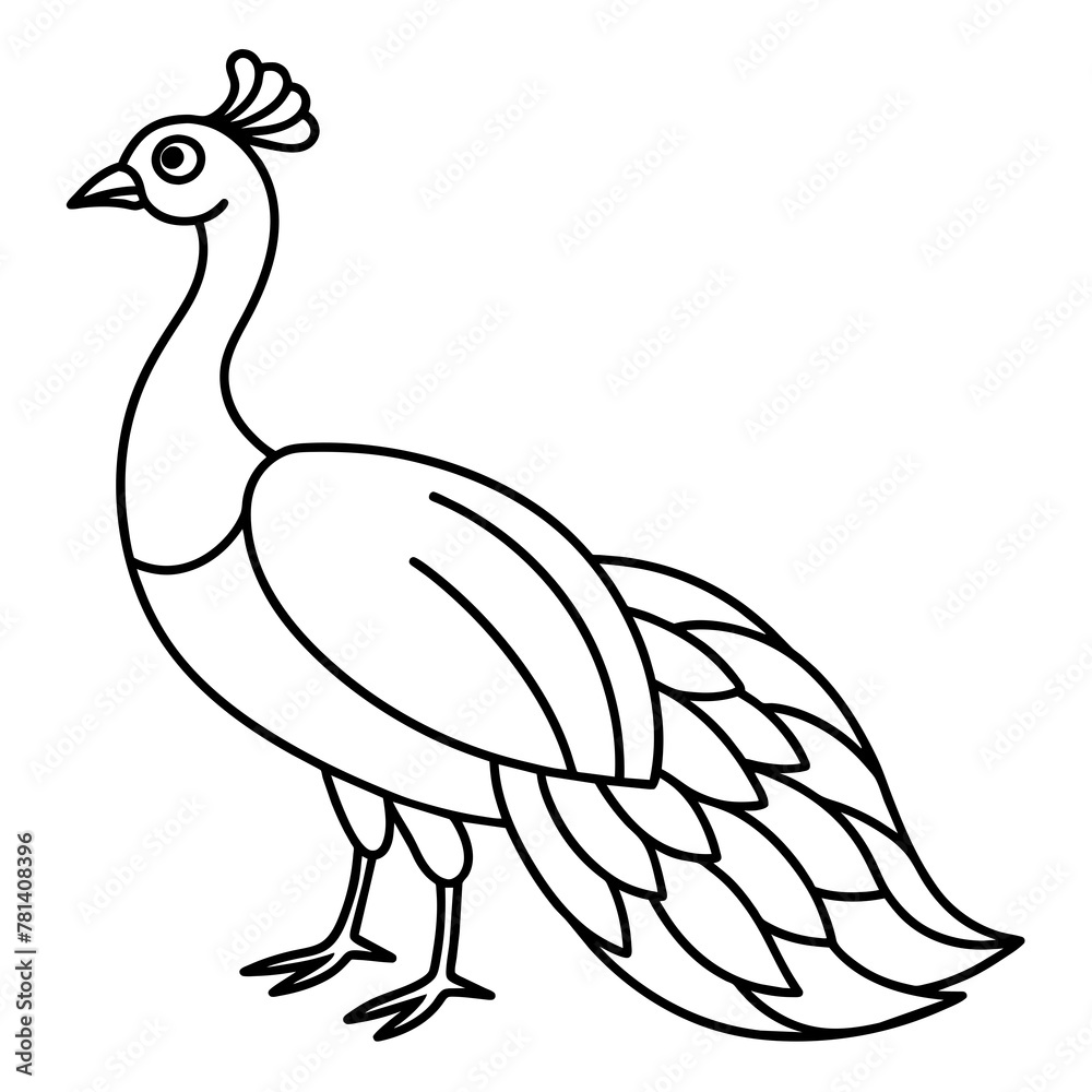 Fototapeta premium illustration of a peacock vector illustration