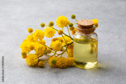 Mimosa essential oil in a glass bottle. Natural cosmetics, aromatherapy and spa concept