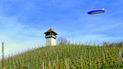 gepflegter Weinberg bei Meersburg am Bodensee  mit Zeppelin und malerischem Rebhäuschen