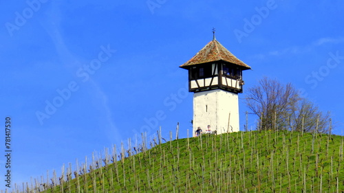 malerischer Weinberg bei Meersburg am Bodensee  mit schönem Rebhäuschen vor blauem Himmel