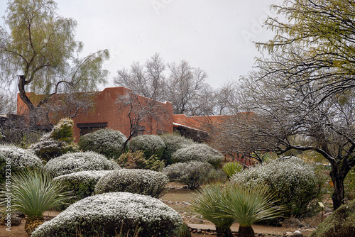  2023-12-31 THE BACK OF A BUILDING AT CANYON RANCH WITH LANDSCAPED FOLIAGE AND TREES DURING A FREAK SNOW FALLL IN ARIZONA NEAR TUCSON photo