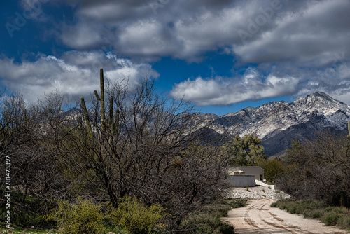 2023-12-31 VIEW OF THE SANTA CTALINA MOUNTAIN RANGE WITH SNOW FROM BELOW WITH A ROAD AND A SMALL STRUCTURE AND DESERT FOLIAGE NEAR CANYON RANCH IN TUCSON ARIZONA