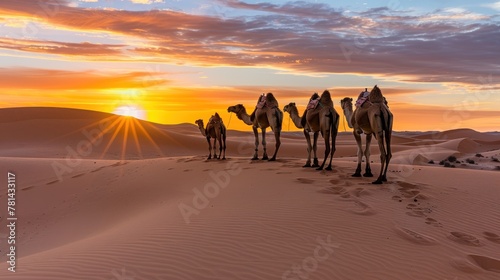 stock vector camel caravan going through the desert on beautiful sunset