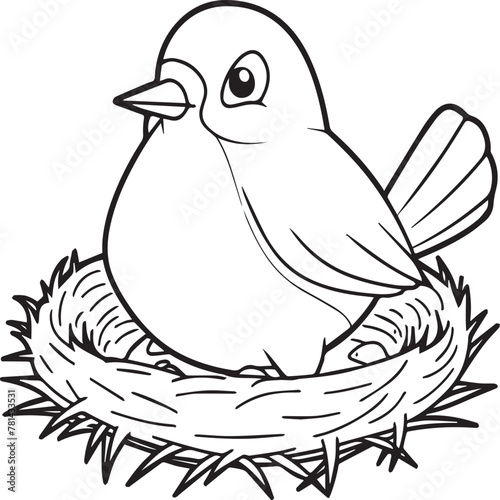 Robin coloring pages. Robin bird outline pages for coloring book