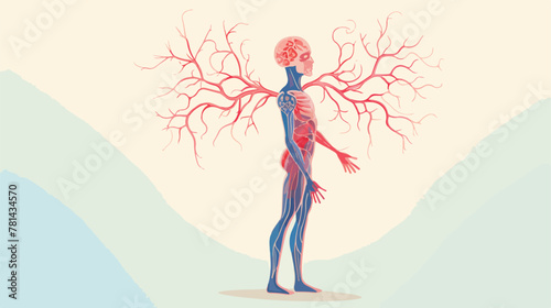 Illustration of an isolated human nervous system 2d