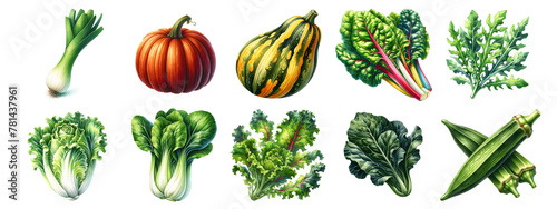 Various watercolor vegetables on a white background