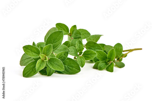 Fresh sweet marjoram herb, isolated on white background