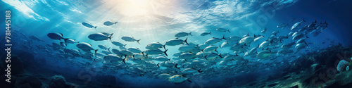 Wide angle view of a large group of fish underwater. A school of fish in the sun's rays. Marine fauna and coral reef.