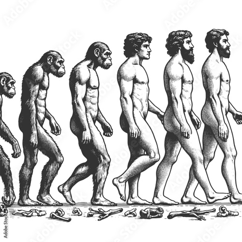 evolution of man from ape through various stages to modern human sketch engraving generative ai fictional character vector illustration. Scratch board imitation. Black and white image.