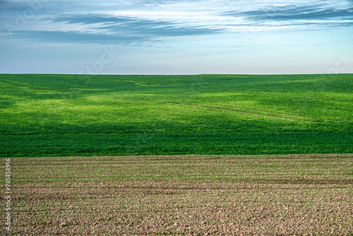 zielone pola i łąki jako minimalistyczne tło naturalne niebem
