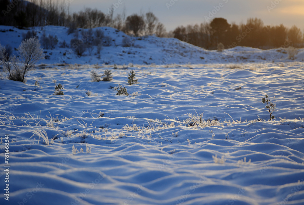 The peatland in Gule-/Stavikmyrane nature reserve in winter ( More og Romsdal, Norway).