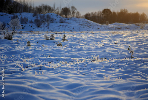 Obraz na płótnie The peatland in Gule-/Stavikmyrane nature reserve in winter ( More og Romsdal, Norway). w salonie
