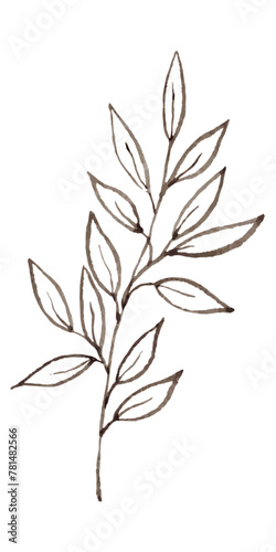 Contour image of a branch with leaves in brown shades