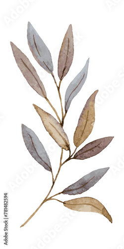 Curved branch with leaves in brown and gray tones