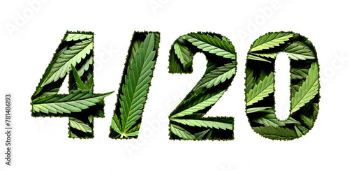 4/20 cannabis day date and time concept. Green marijuana leaves peeking through the white torn paper in shape of number 420. Weed day at April 20
