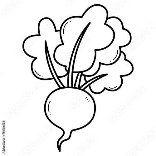 Radish coloring book for kids. Coloring page with radish. Monochrome black and white illustration. Vector children's illustration.