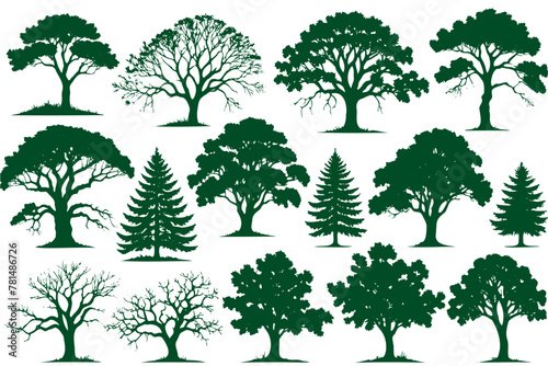 A collection trees in various sizes and shapes, with some of them being bare and others still green
