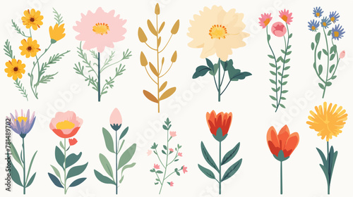 Isolated set of flowers illustration 2d flat cartoo