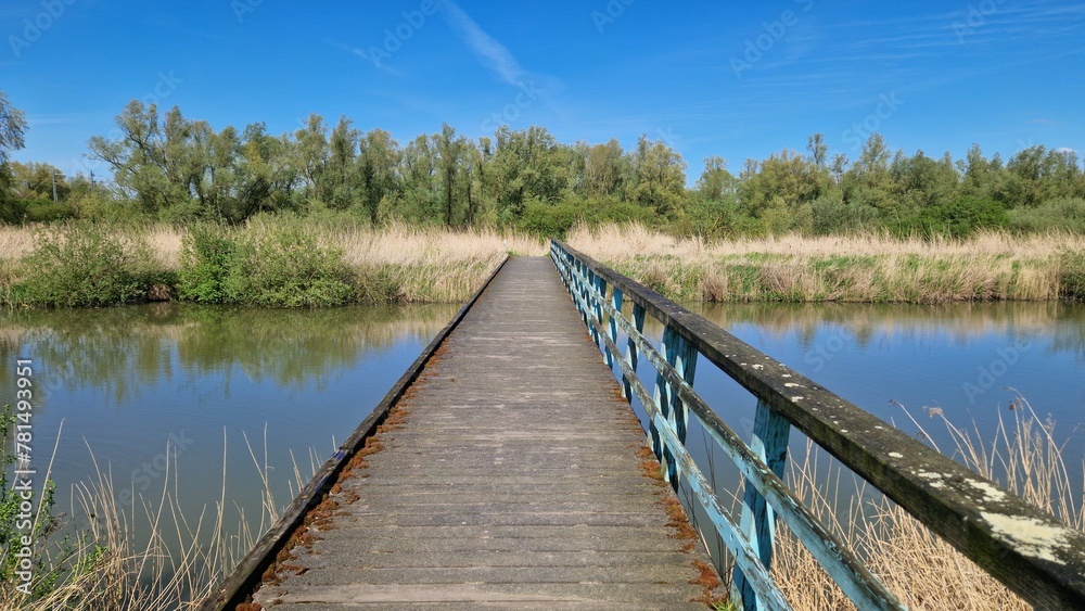 A serene wooden boardwalk with rustic blue railings stretches across a tranquil pond surrounded by lush greenery under a clear blue sky.
