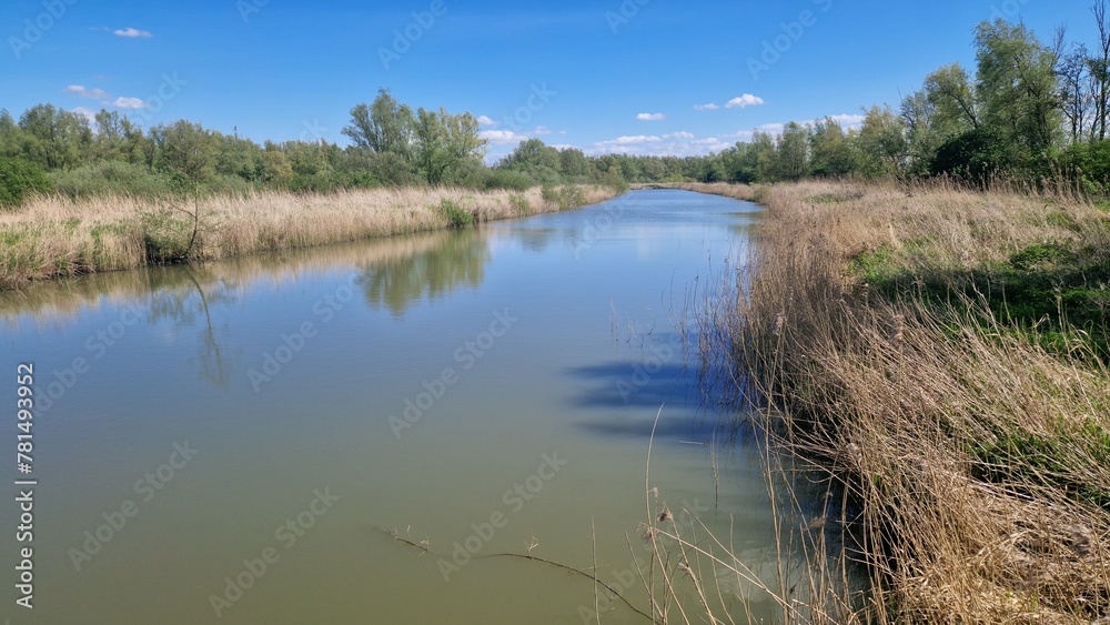 Tranquil river landscape with lush greenery under a clear blue sky, reflecting serene natural beauty perfect for backgrounds and environmental themes.