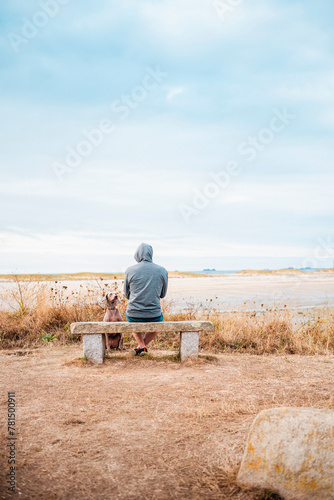 A young weimaraner dog waits for his human. Young boy sitting with his weimaraner dog waiting next to him.