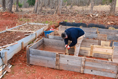 A man builds a raised garden bed from a wooden frame. photo