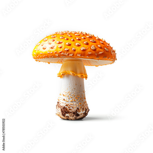 Yellow and White Mushroom on White Background. Generative AI