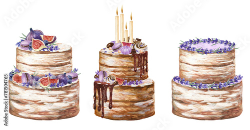 Watercolor wedding cakes set. Valentines day dessert sweets. Birthday cake collection decorated by lavender flowers, candles, berries,macaroons, figs, isolated on white background.