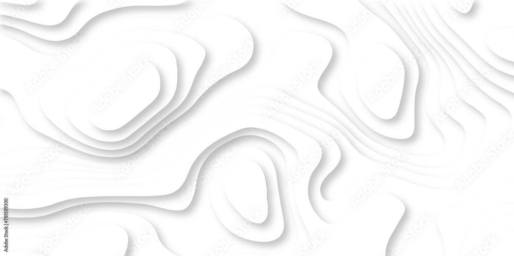 black and white abstract luxury papercut background