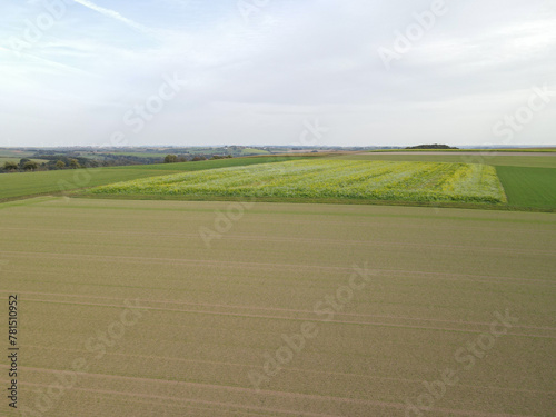 Aerial view of a harvested farmland in autumn