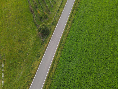 Aerial view of a road between grass in the countryside