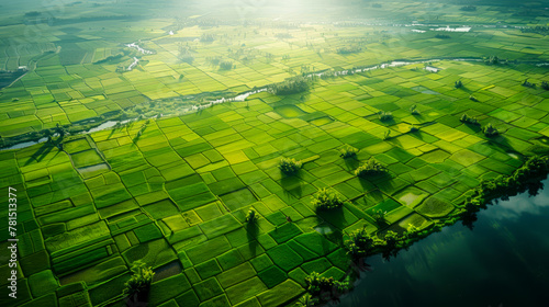 Captivating aerial views of interconnected paddy fields showcase their beauty and grandeur