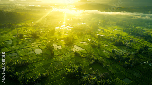 Capturing the Majestic Beauty of Interconnected Paddy Fields from Above