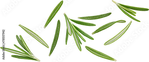 Falling rosemary leaves isolated
