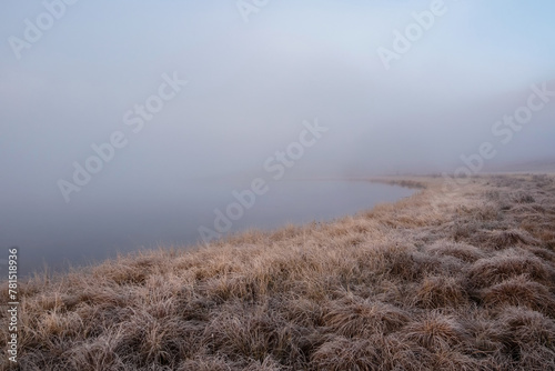 Morning of a swampy. Natural background with fog over the swamp.