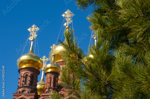 Fir branches close up and blurred Christianity Cathedral