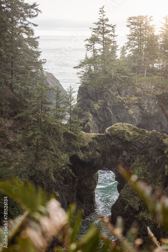 Natural Bridges in the Southern OregonCoast. Part of the Samuel H Boardman Scenic Corridor. photo