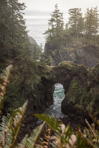 Natural Bridges in the Southern OregonCoast. Part of the Samuel H Boardman Scenic Corridor.