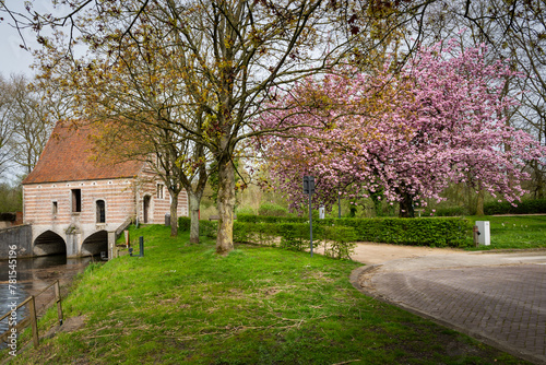 The Spui Groot Spui, former lock house on the Lier Binnennete Belgium. pink cherry blossom tree. Historic building landmark part of original town walls for fortification and protection of water level © drew