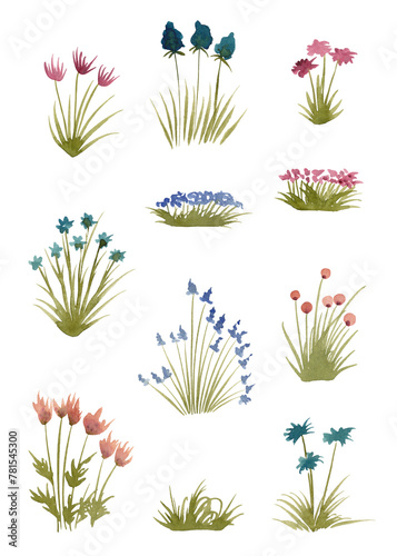 Modern collection for decor design. Botanical art. Isolated illustration element. Silhouettes of wildflowers and blades of grass in Watercolor. Large plant clipart © ElenVilk