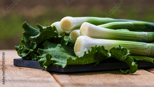 Close up of details of fresh green onions (scallion) and green lettuce on a cutting board isolated.