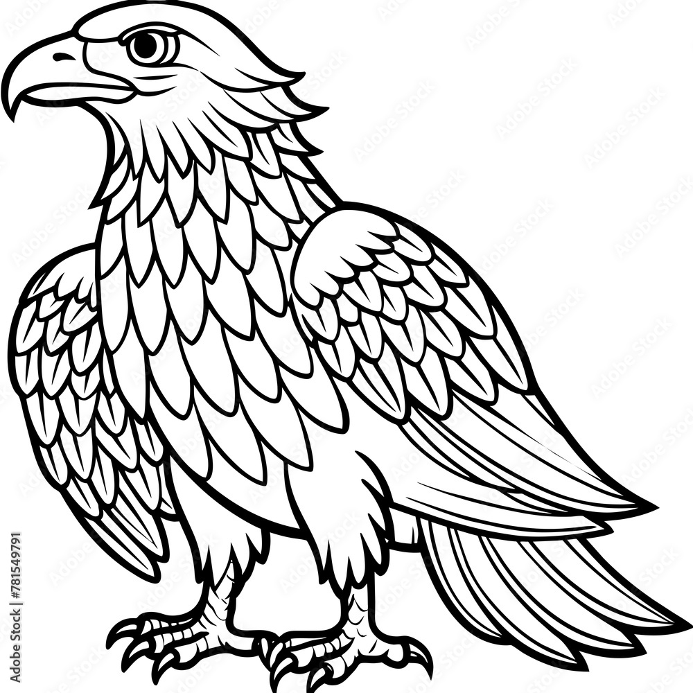 eagle vector illustration